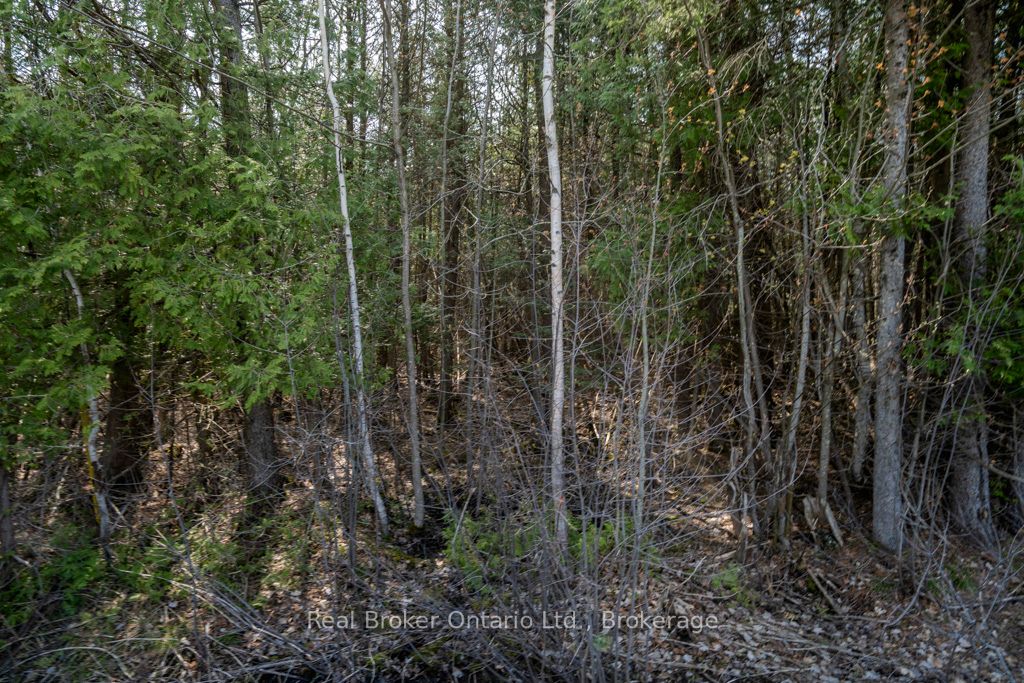 Additional image 6 of Lot 438 Champlain Road, Tiny, ON, L9M 1S5