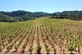Additional image 51 of 25845 Dutcher Creek Rd, Cloverdale, CA, 95425