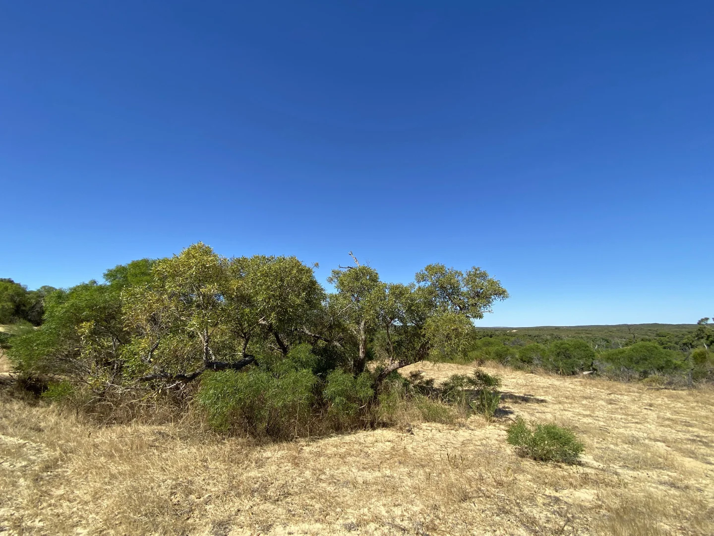 Additional image 12 of Lot 35 River Loop, Jurien Bay WA 6516