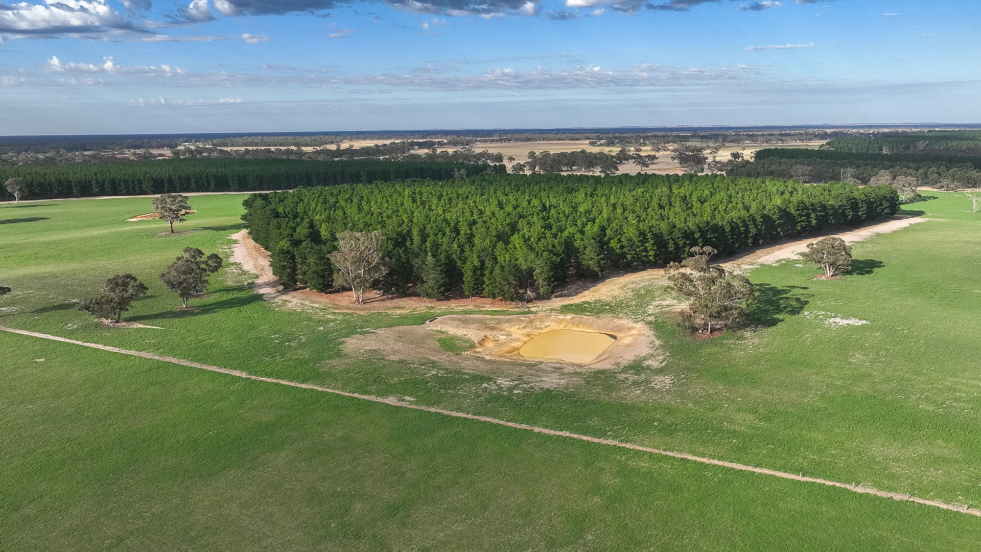 Additional image 32 of 2885 Frances Road, Bordertown SA 5268