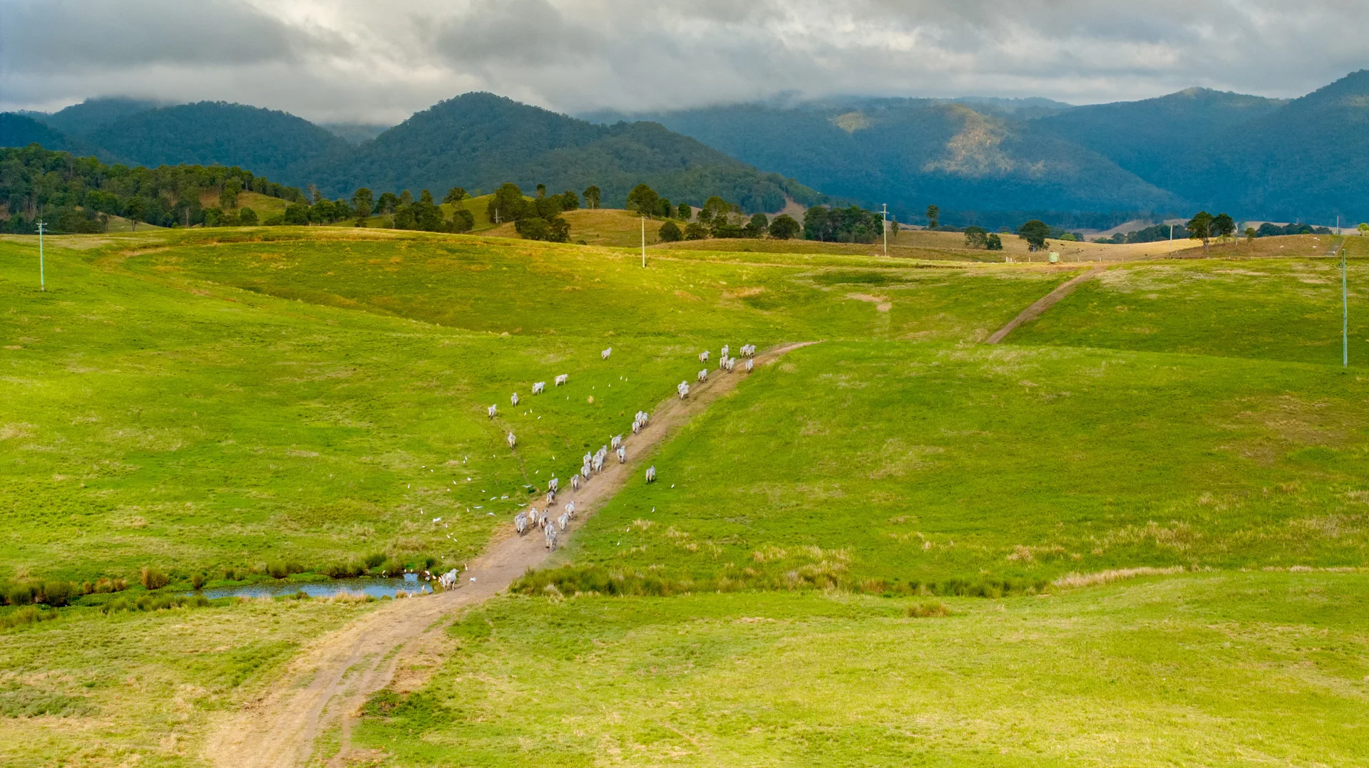 Additional image 32 of 1890 Maleny - Kenilworth Road, Conondale QLD 4552
