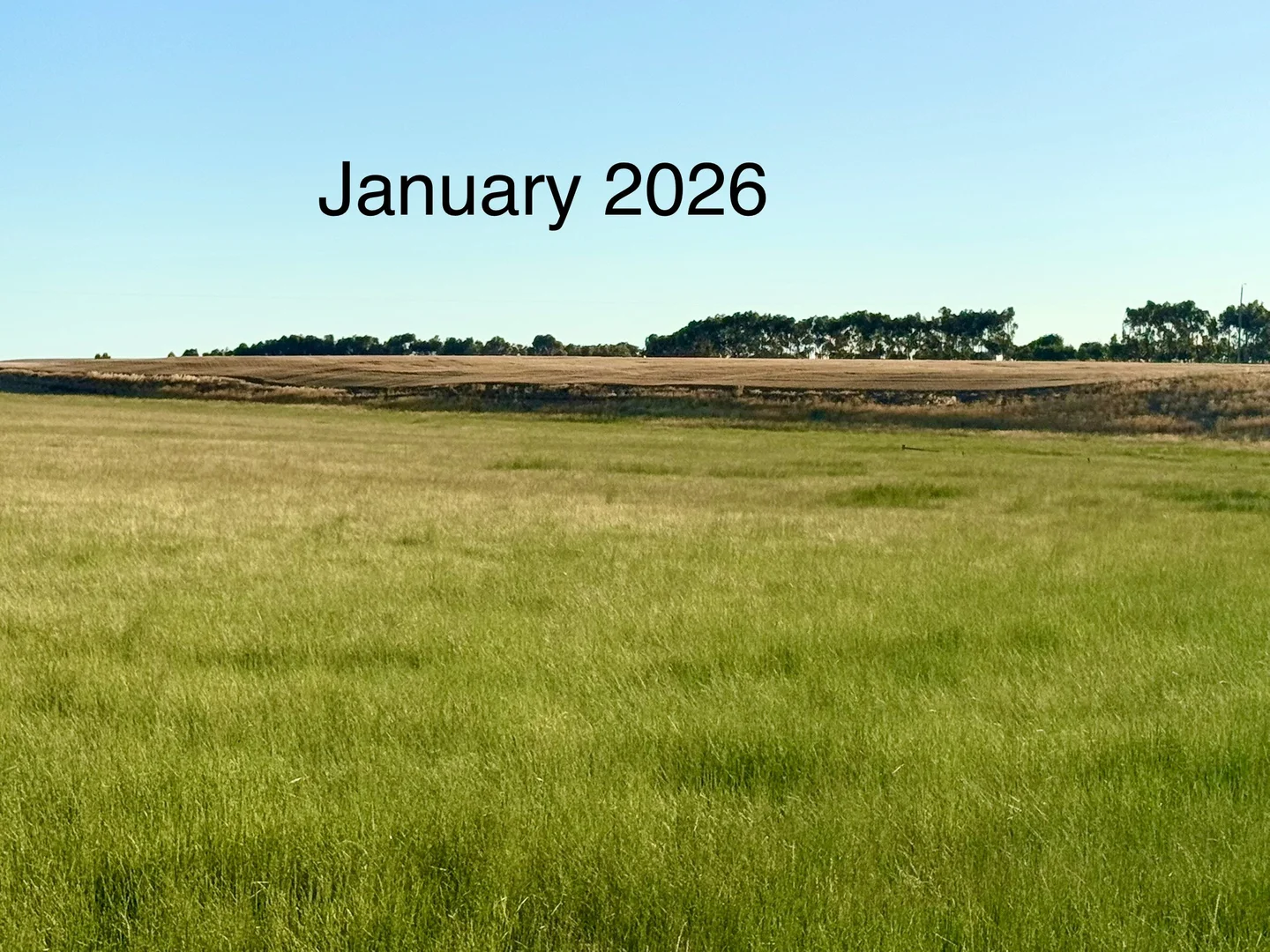 Additional image 8 of 1205 Lower Darlington Road, Lismore VIC 3324