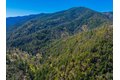 Additional image 43 of 8916 Reading Creek Rd, Douglas City, CA, 96024