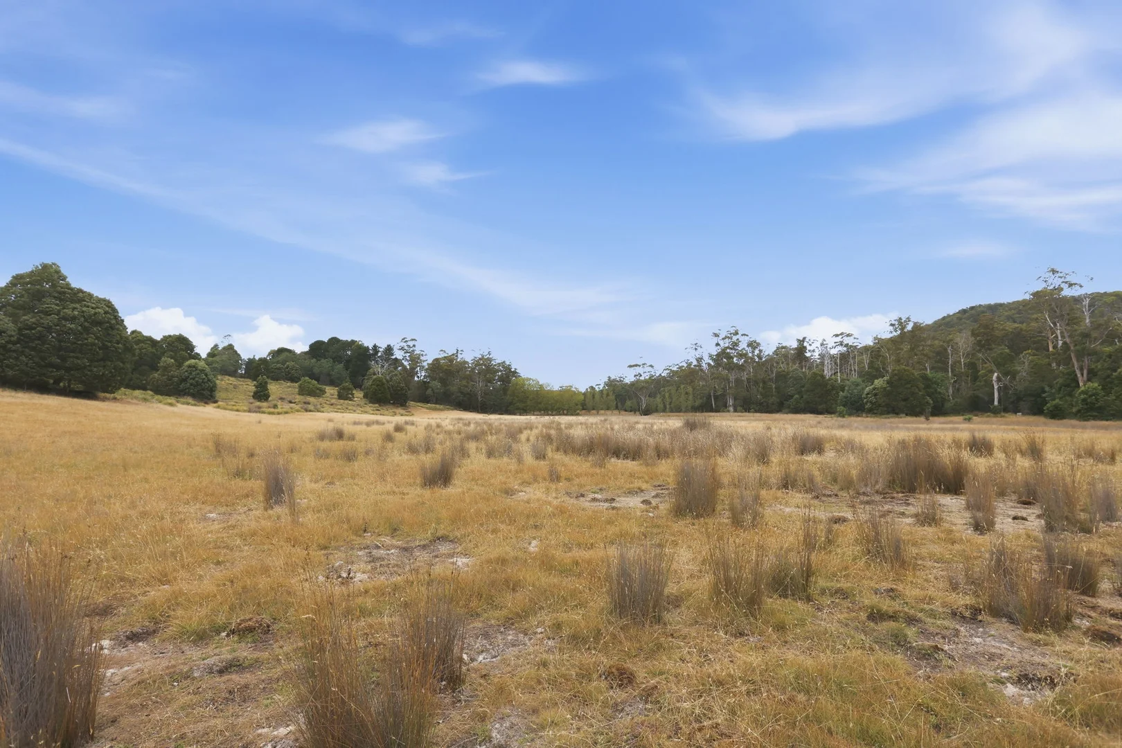 Additional image 18 of 3615 West Tamar Highway, Sidmouth TAS 7270