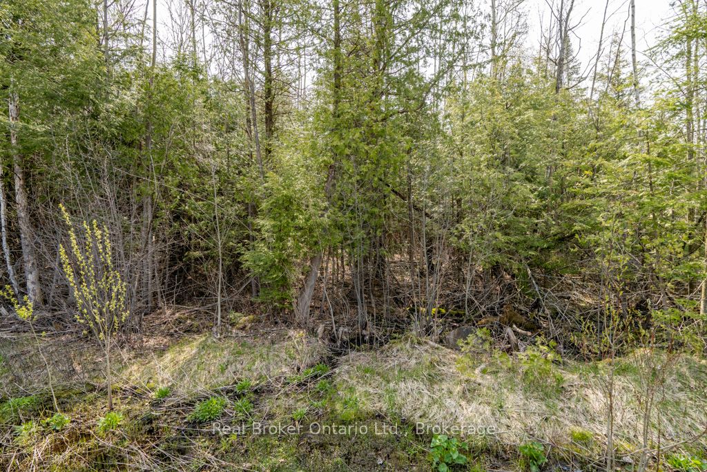 Additional image 5 of Lot 438 Champlain Road, Tiny, ON, L9M 1S5