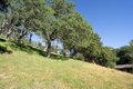 Additional image 35 of 1486 Steele Canyon Rd, Napa, CA, 94558