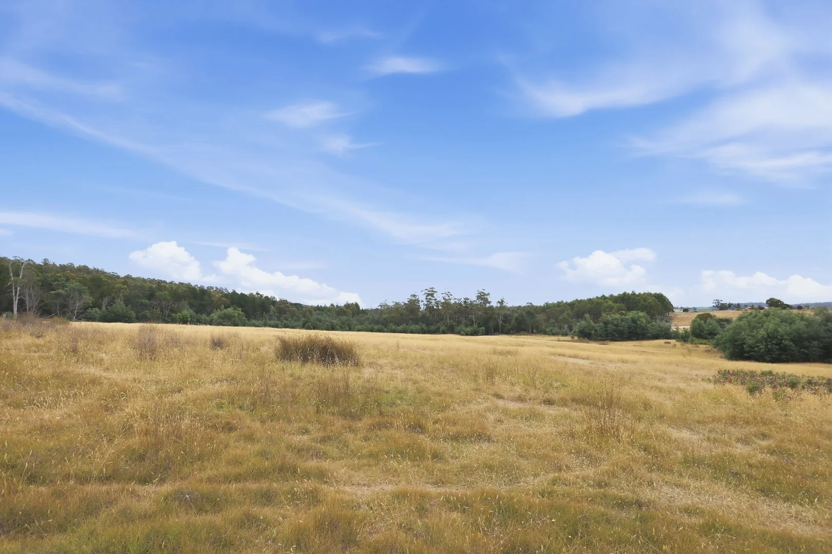 Additional image 8 of 3615 West Tamar Highway, Sidmouth TAS 7270