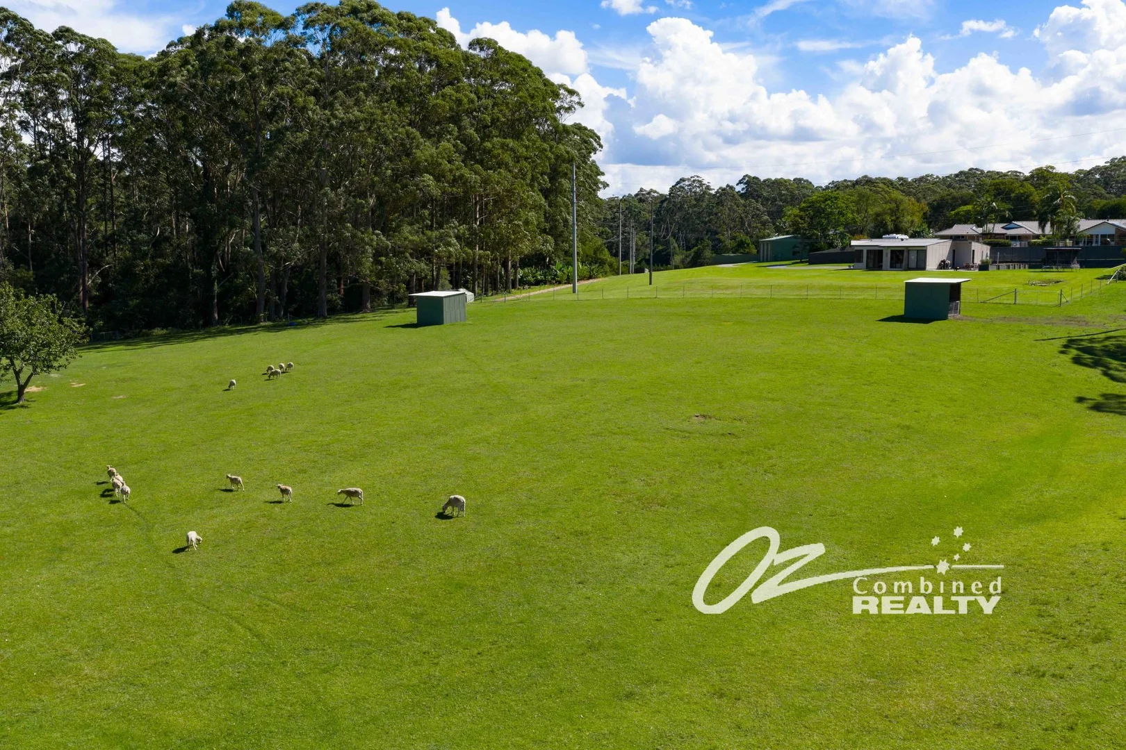 Additional image 22 of 411 Hawken Road, Tomerong NSW 2540