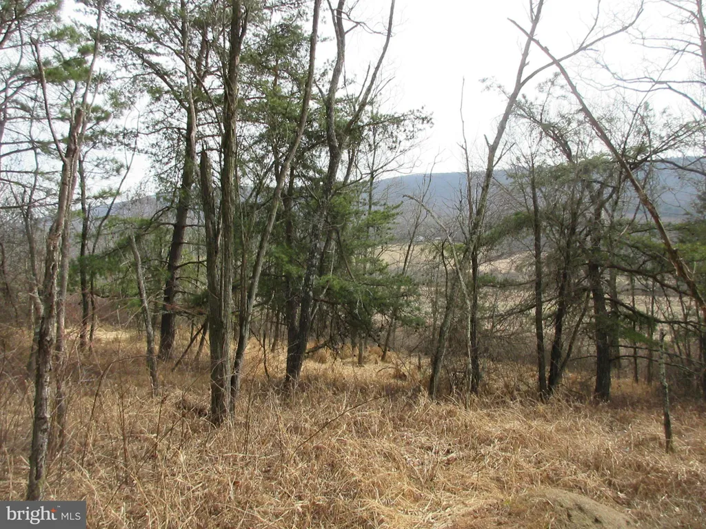 Route 23/10 Trout Run Roa, Wardensville, WV 26851