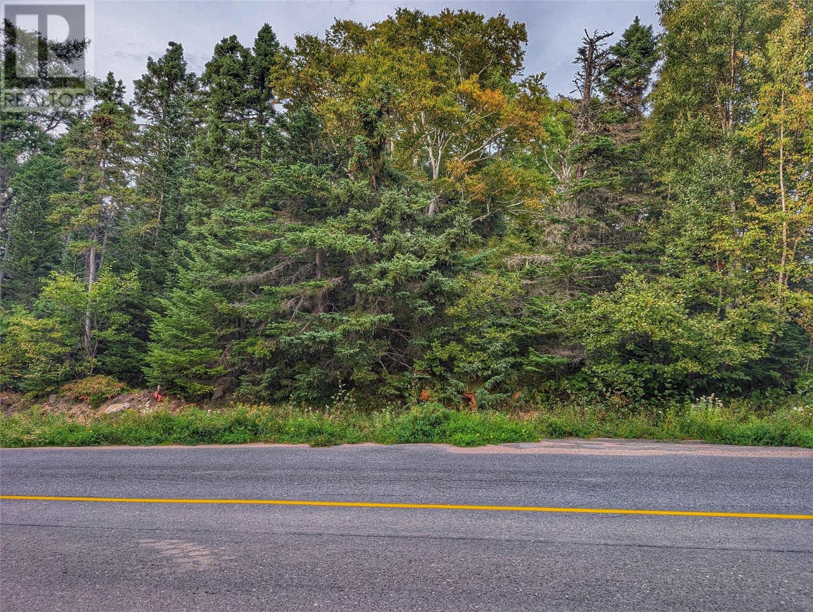 0 Tucker's Hill, Lethbridge, NL, A0C1V0 photo 3