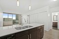 3740 N Halsted St Unit 1-1, Chicago, IL, 60613
