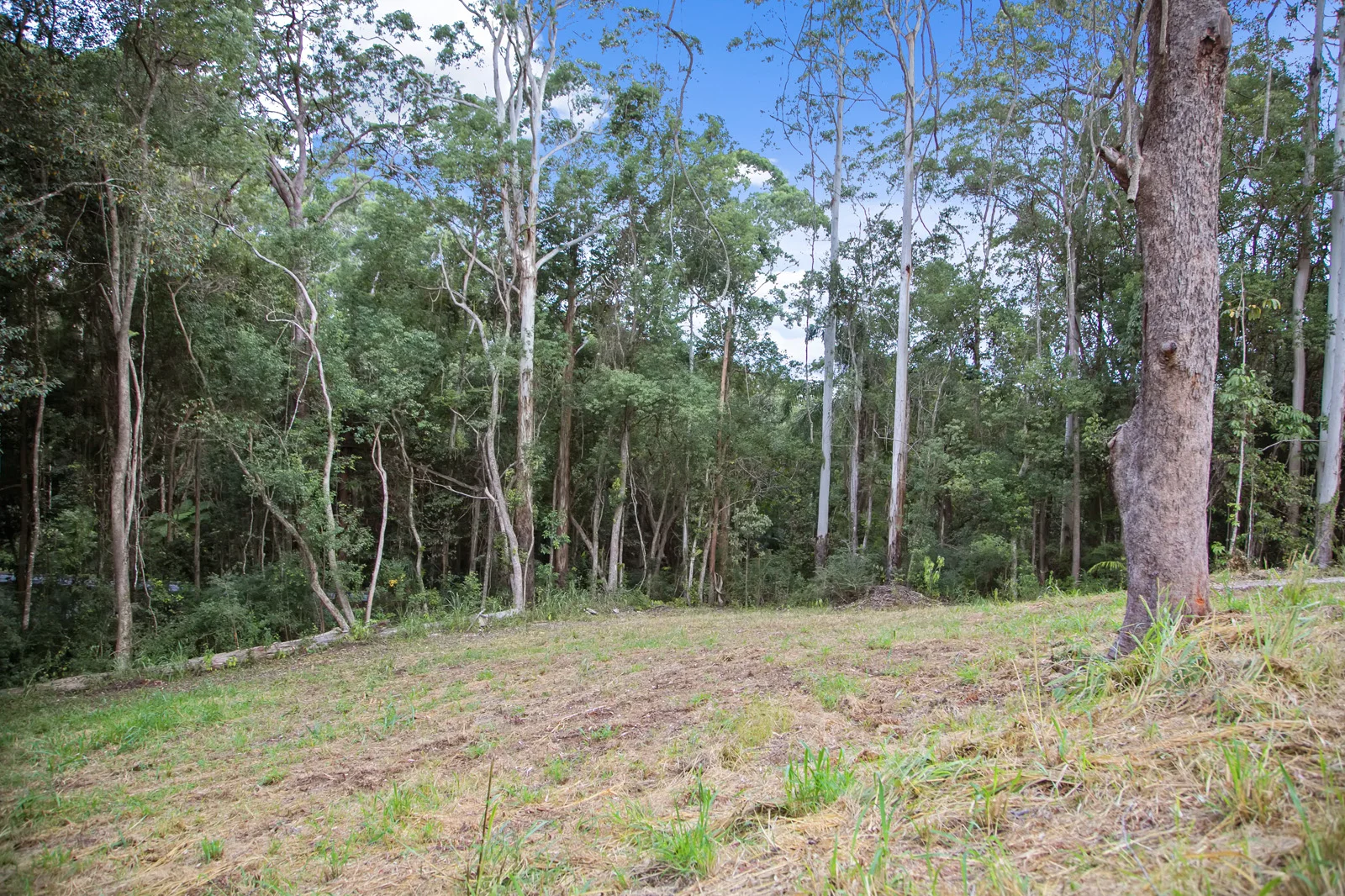 Additional image 2 of 77 Foley Road, Woombye QLD 4559