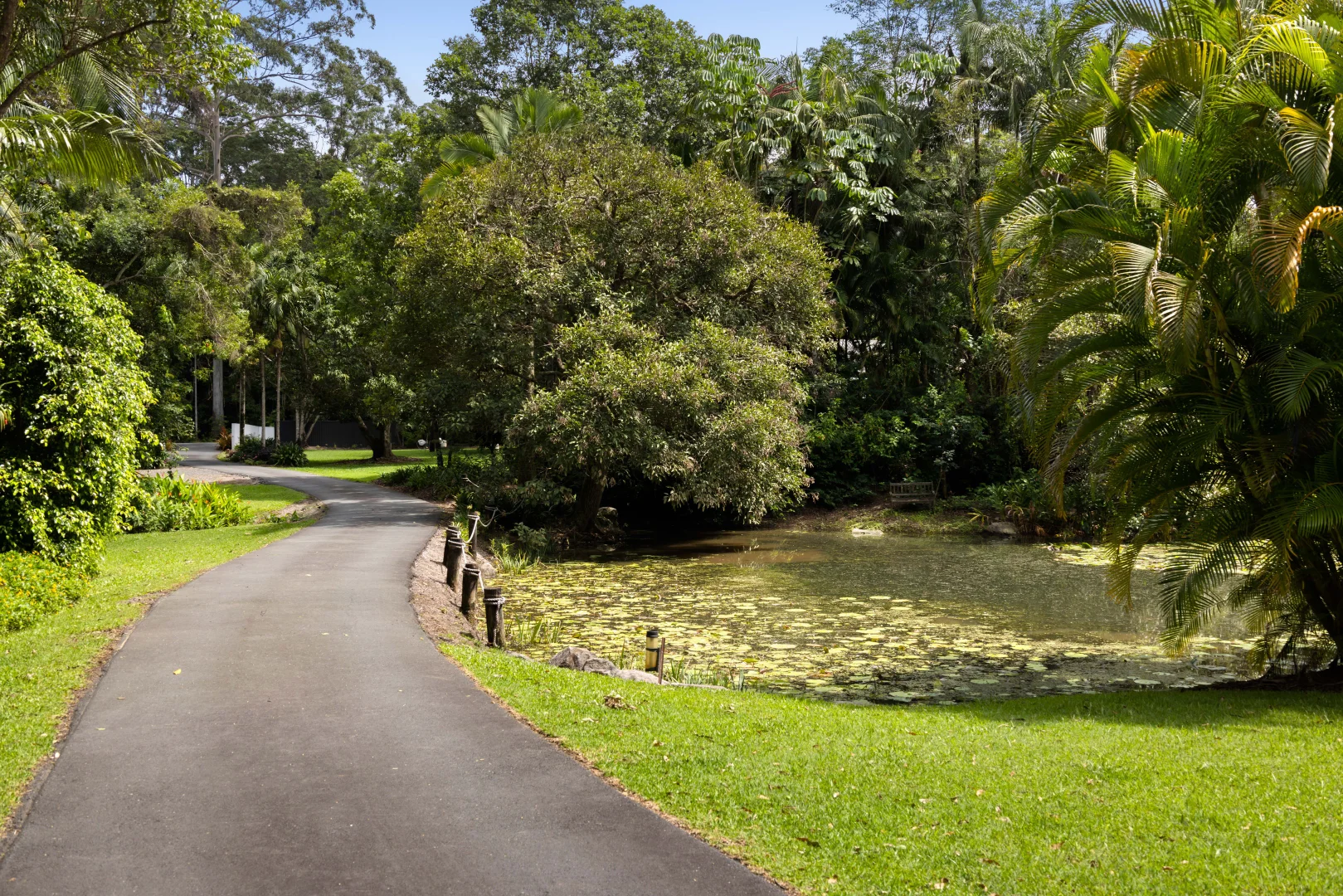 Additional image 7 of 6 Sawreys Road, Forest Glen QLD 4556