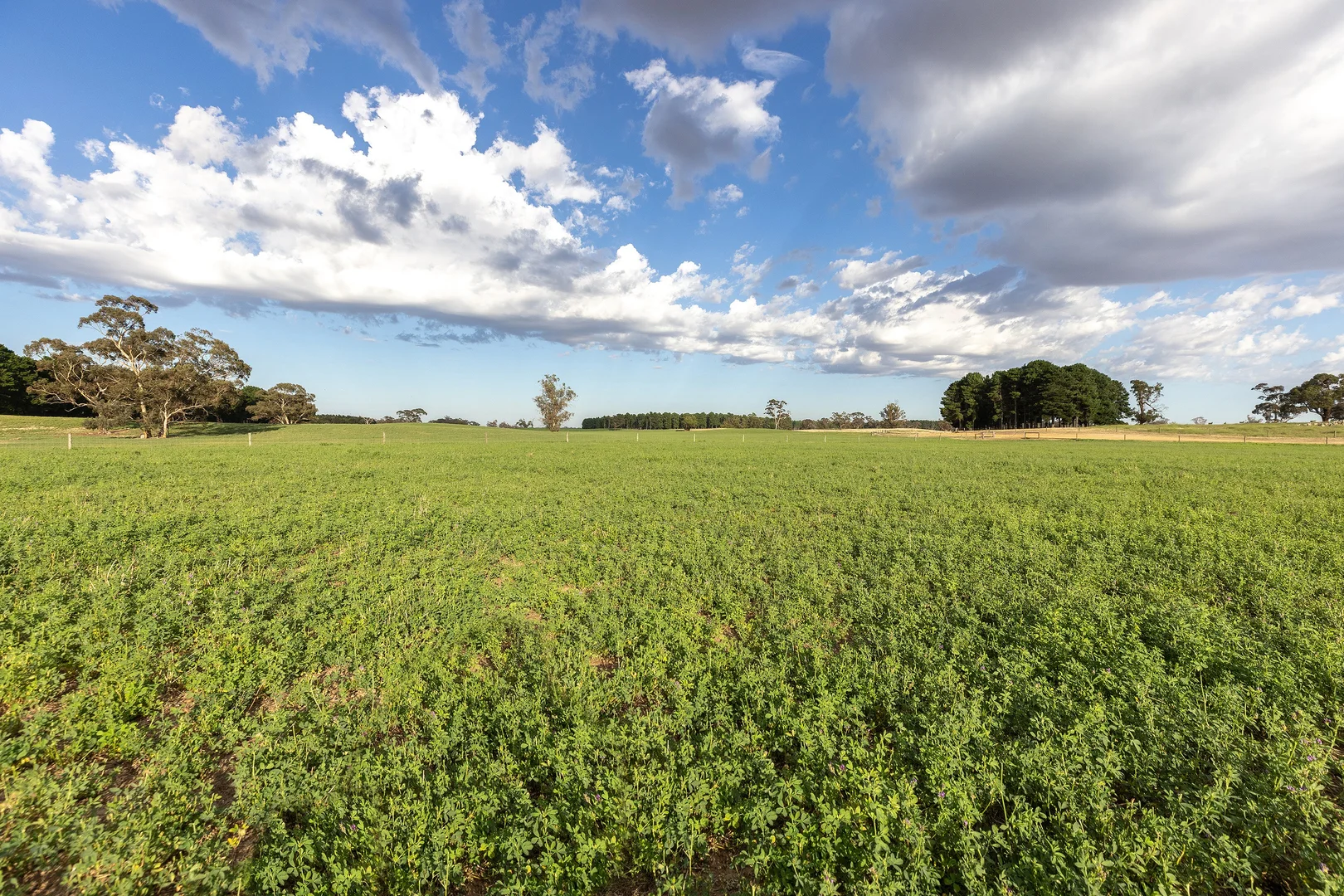 Additional image 4 of 2885 Frances Road, Bordertown SA 5268