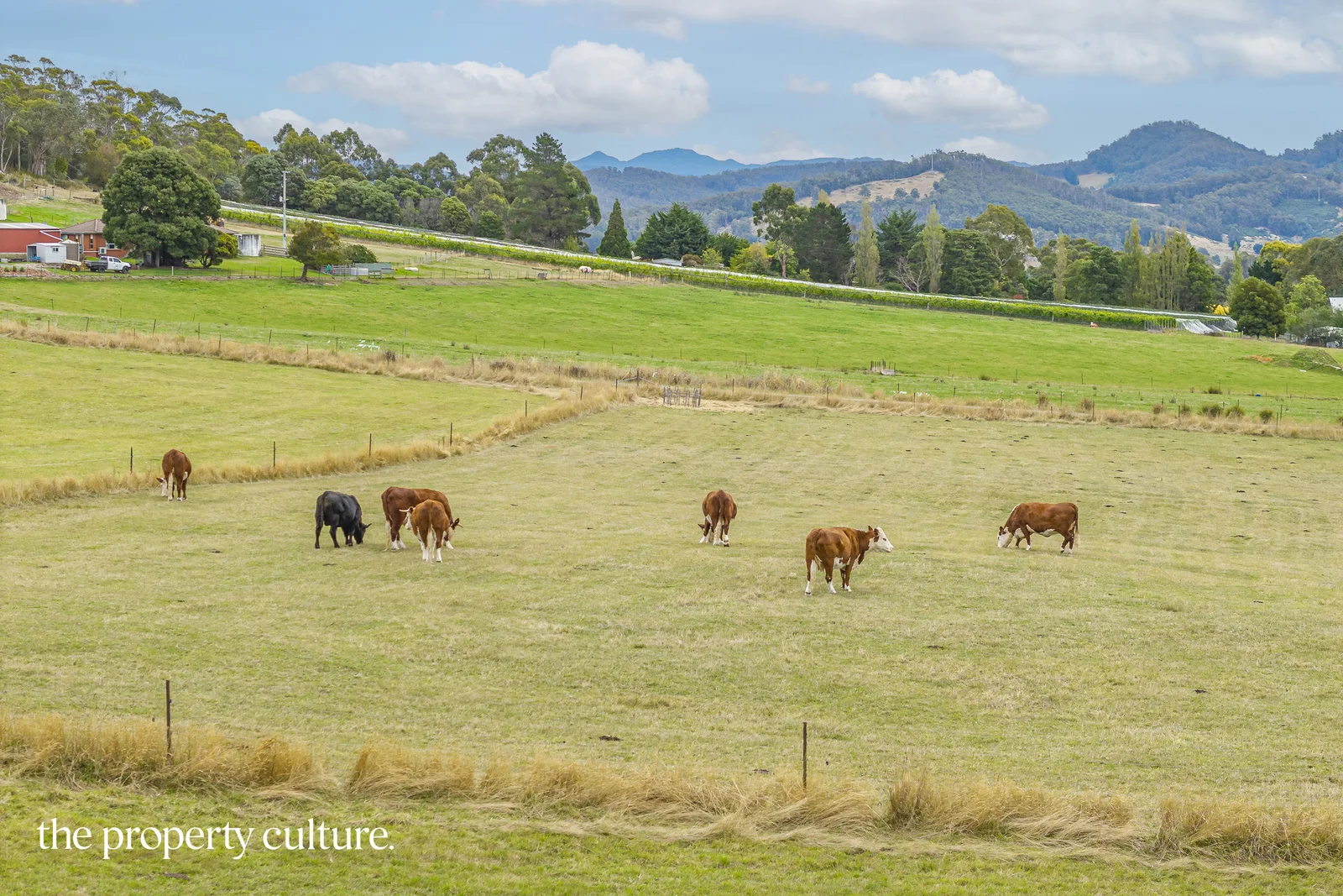 Additional image 16 of 989 Woodbridge Hill Road, Gardners Bay TAS 7112