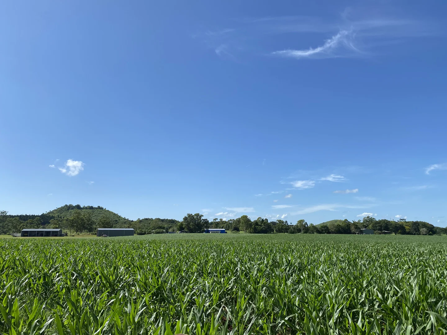 Additional image 12 of 32 McKeown Road, East Barron QLD 4883