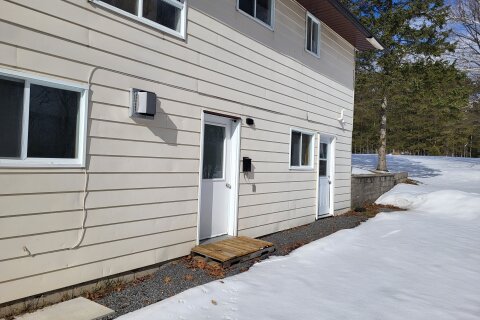 Additional image 8 of Lower Level-273 Skyhills Road, Huntsville, ON, P1H 2J2