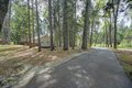 Additional image 40 of 12528 Rattlesnake Rd, Grass Valley, CA, 95945