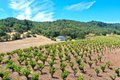 Additional image 26 of 25845 Dutcher Creek Rd, Cloverdale, CA, 95425