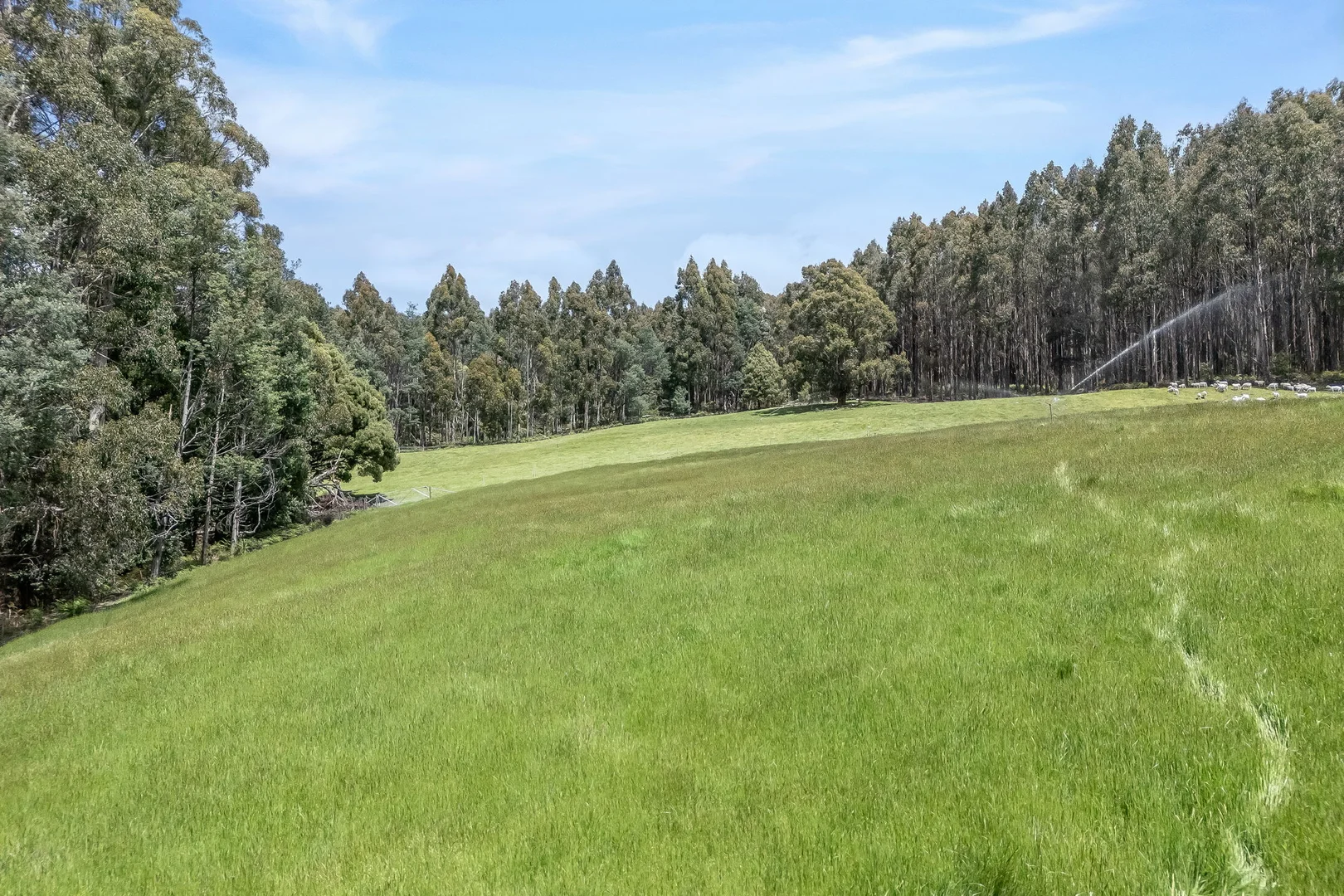 Additional image 22 of 98 Settlement Road, Flowery Gully TAS 7270