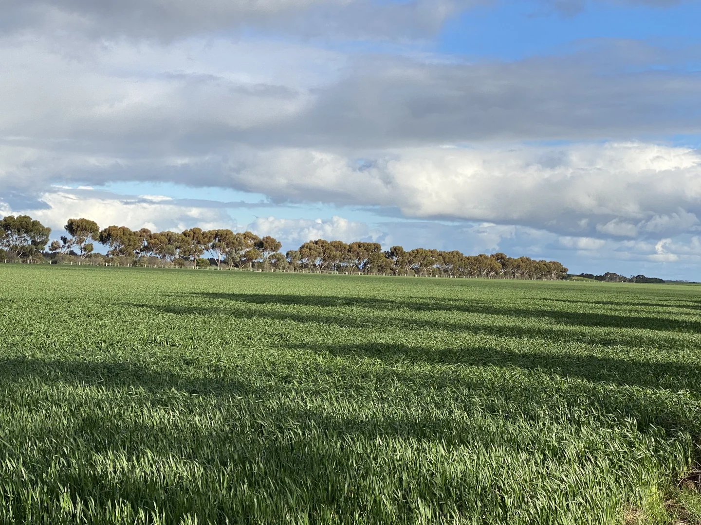 Additional image 10 of 1205 Lower Darlington Road, Lismore VIC 3324