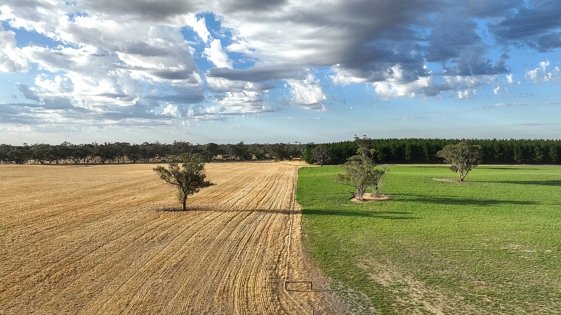 Additional image 7 of 2885 Frances Road, Bordertown SA 5268