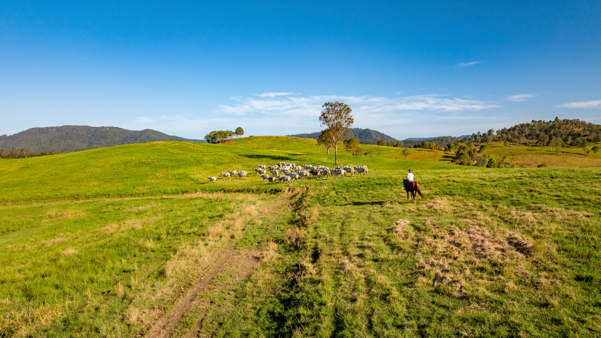 Additional image 4 of 1890 Maleny - Kenilworth Road, Conondale QLD 4552