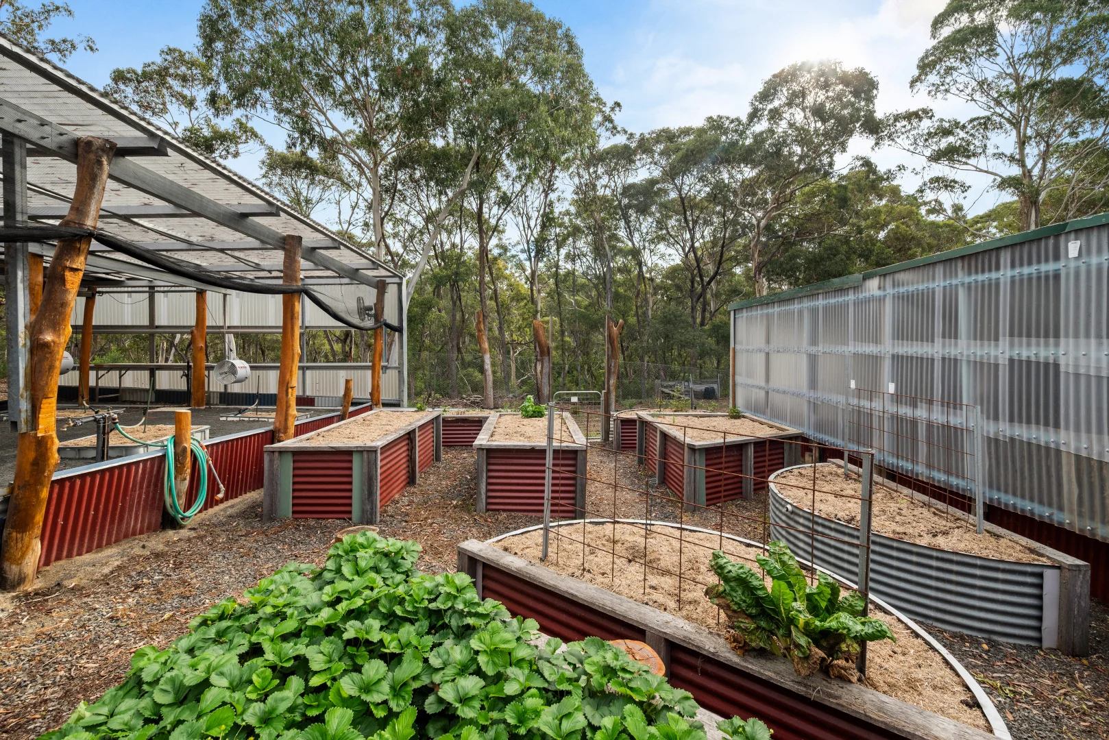 Additional image 32 of 497 Northangera Road, Braidwood NSW 2622