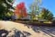 Additional image 11 of 10 Sandringham House