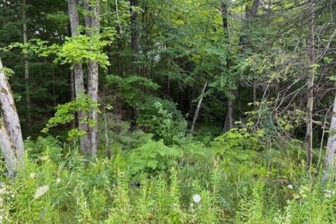 Additional image 8 of 47 Summer Leigh Trail, Huntsville, ON, P0B 1M0
