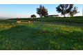 Additional image 17 of 6323 E Appaloosa Ave, Clovis, CA, 93619