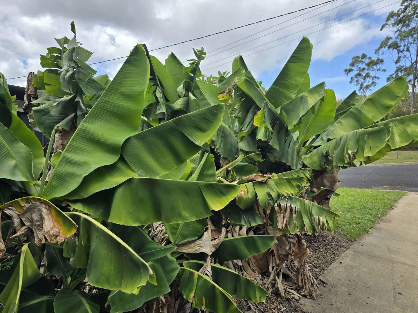 Additional image 15 of Herberton QLD 4887