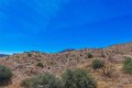 Additional image 13 of 58205 Santa Barbara Dr, Yucca Valley, CA, 92284