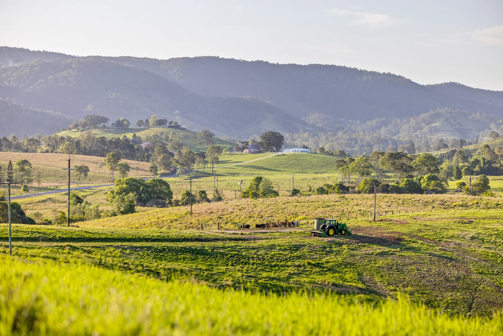 Additional image 29 of 1890 Maleny - Kenilworth Road, Conondale QLD 4552