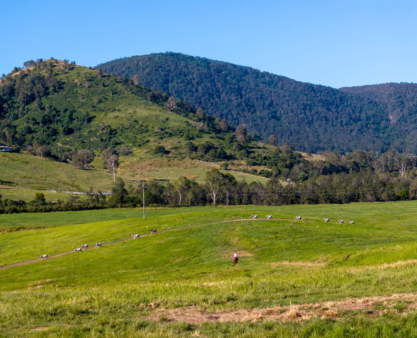 Additional image 20 of 1890 Maleny - Kenilworth Road, Conondale QLD 4552