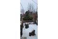 Additional image 67 of 3202 Presbury St, Baltimore, MD, 21216