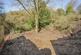 Additional image 20 of Penygraig Road, Townhill, Swansea
