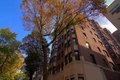 515 W Briar Pl, Chicago, IL, 60657