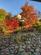 Additional image 48 of Ravendale, Grassgarth Lane, Ings, Kendal, LA8 9QF