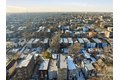 Additional image 13 of 1637 S Saint Louis Ave Unit Garden, Chicago, IL, 60623