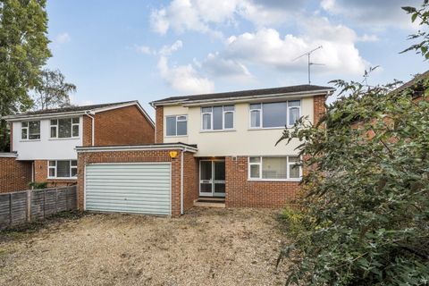 Belle Avenue, Reading, Berkshire RG6