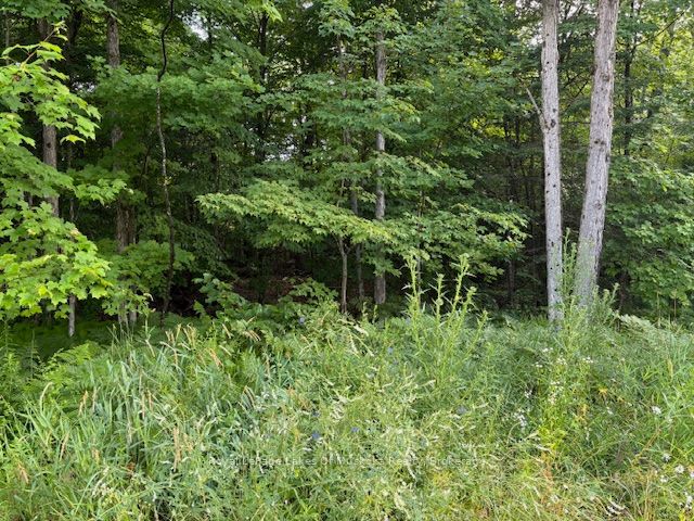 Additional image 4 of 47 Summer Leigh Trail, Huntsville, ON, P0B 1M0