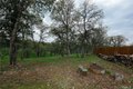 Additional image 27 of 19385 Bonanza King Dr, Cottonwood, CA, 96022