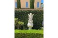 Additional image 24 of 80 Cipresso, Irvine, CA, 92618