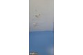 Additional image 47 of 3202 Presbury St, Baltimore, MD, 21216