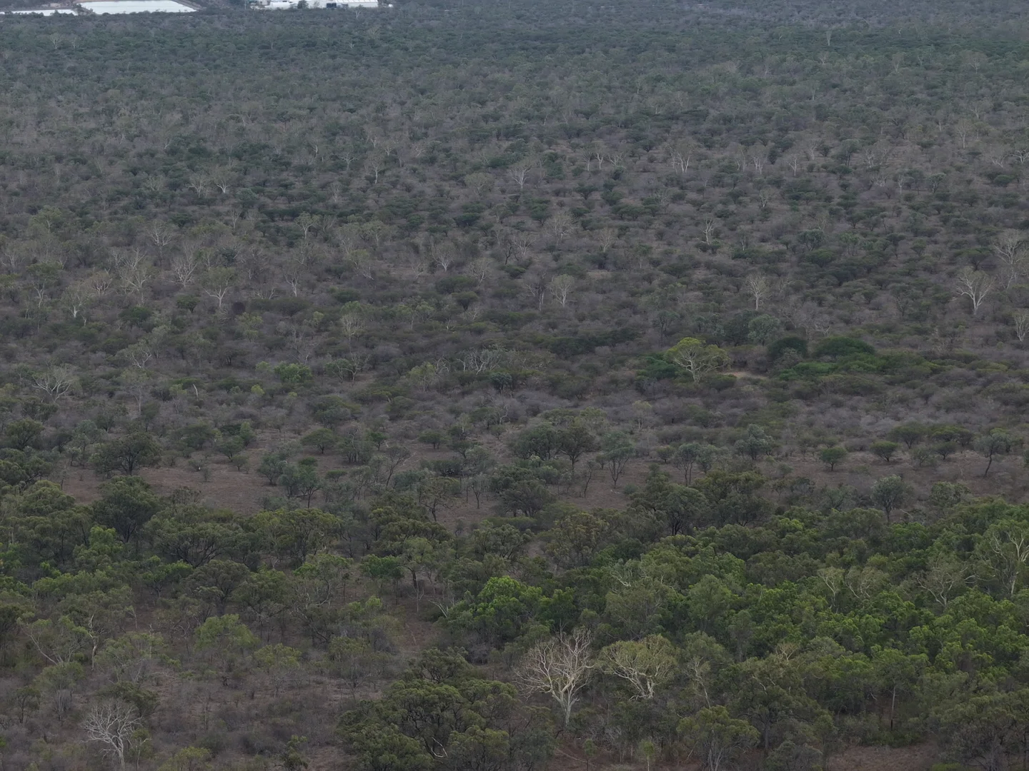 Additional image 4 of 8 Coventry Road, Guthalungra QLD 4805