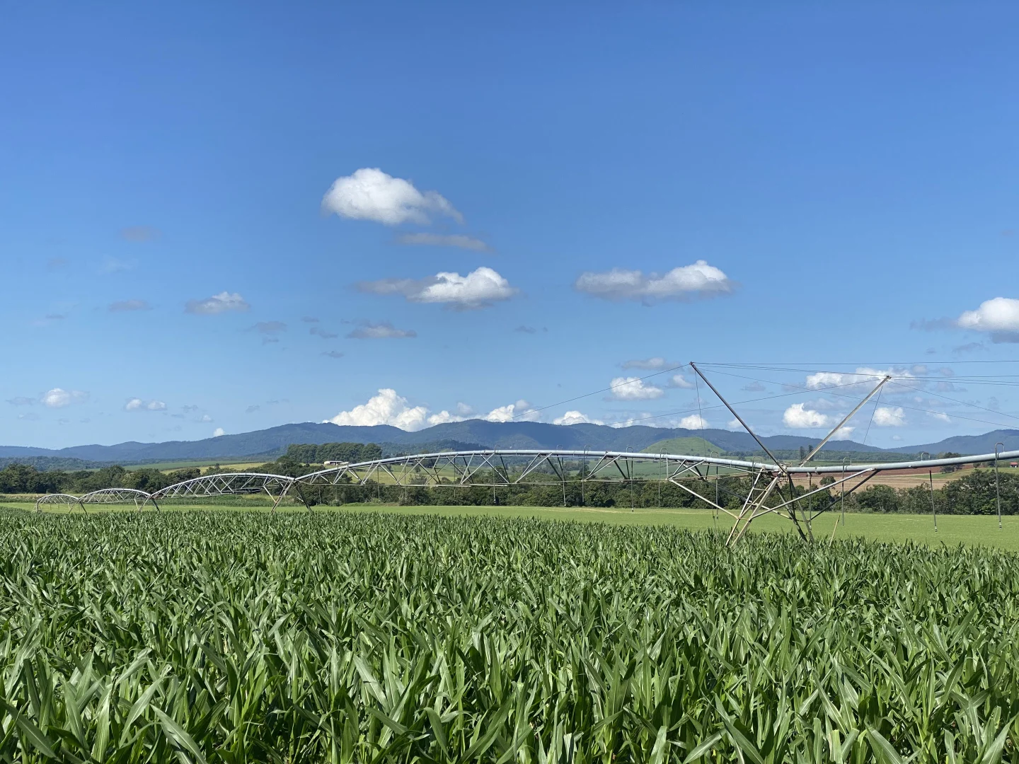 Additional image 13 of 32 McKeown Road, East Barron QLD 4883