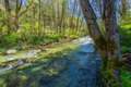 Additional image 39 of 8916 Reading Creek Rd, Douglas City, CA, 96024