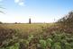 Additional image 14 of Little Meadow, Luton