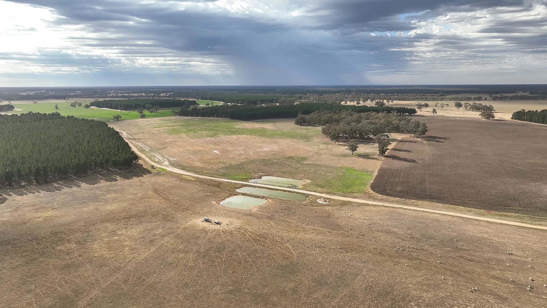 Additional image 36 of 2885 Frances Road, Bordertown SA 5268